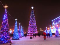 Baumdekorationen und große Kegel für Weihnachtsdeko